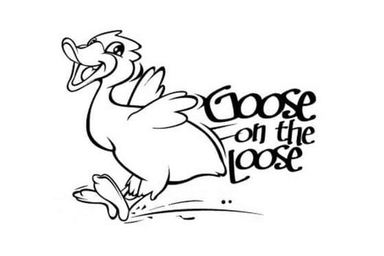 Goose on the Loose | Meatstock
